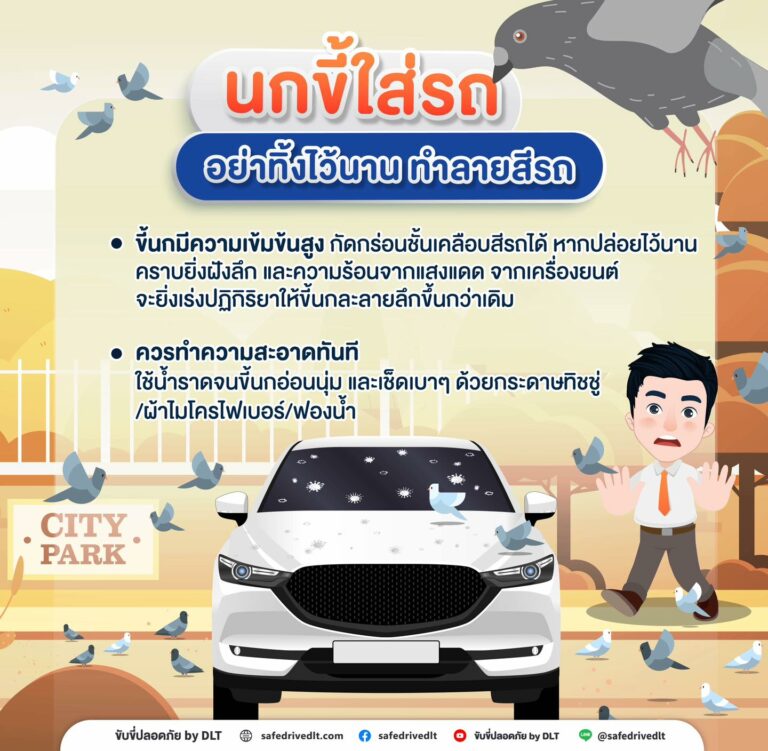 นกขี้ใส่รถ ทำลายสีรถ ขับขี่ปลอดภัย กรมการขนส่งทางบก