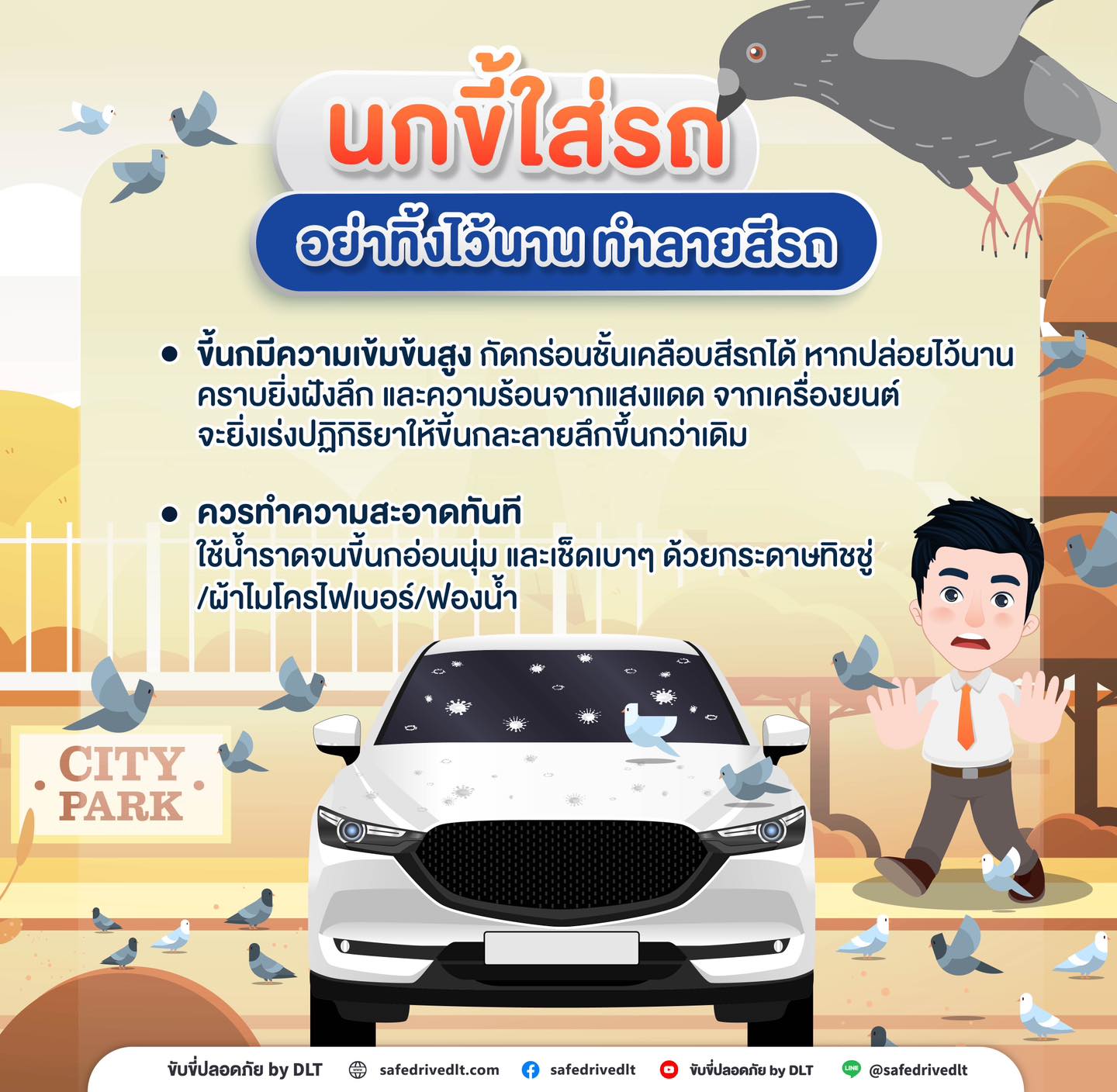 รู้หรือไม่…? นกขี้ใส่รถ อย่าทิ้งไว้นาน ทำลายสีรถ 1 นกขี้ใส่รถ ทำลายสีรถ ขับขี่ปลอดภัย กรมการขนส่งทางบก